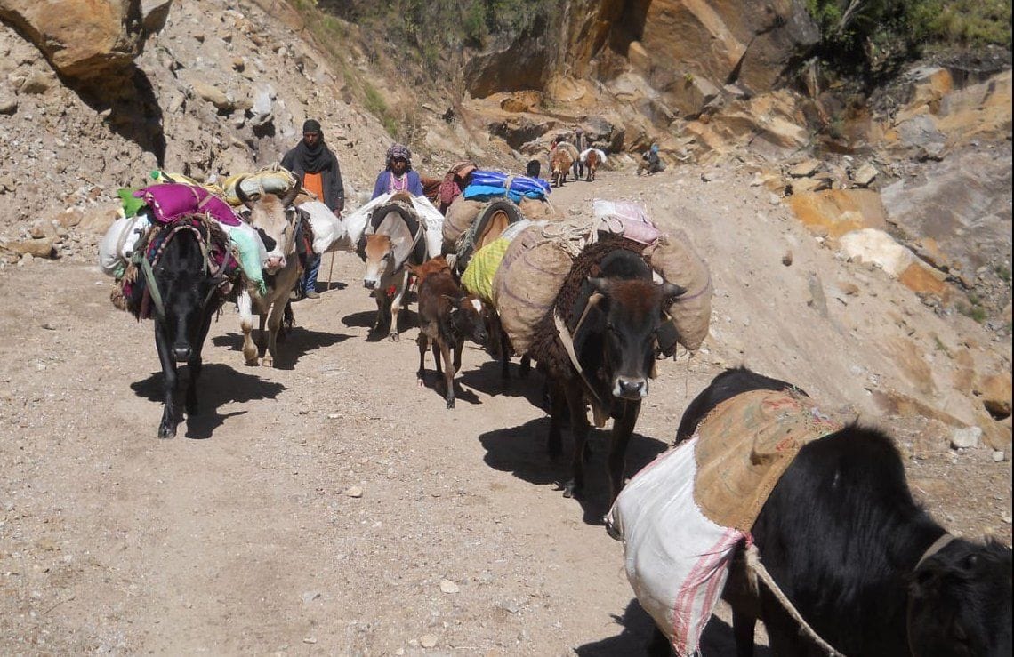 Villagers will be on migration to higher Himalayan villages