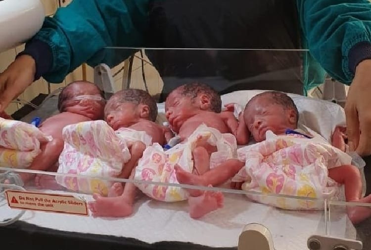 coronavirus, lockdown, death of four new born baby at panipat