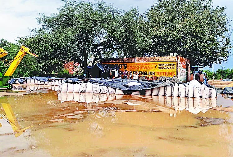 Rain increases farmers' problems in Punjab amid lockdown