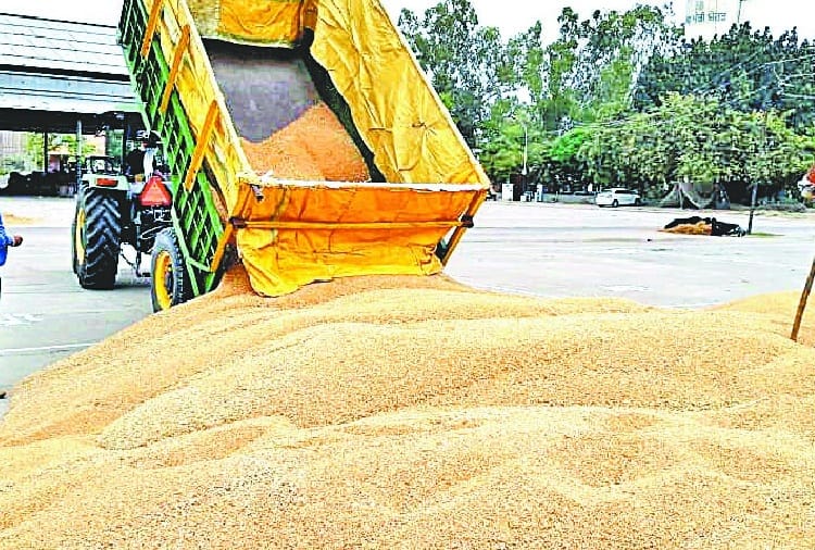 1.84 lakhs curfew pass distributed to farmers for wheat procurement in punjab, coronavirus, lockdown