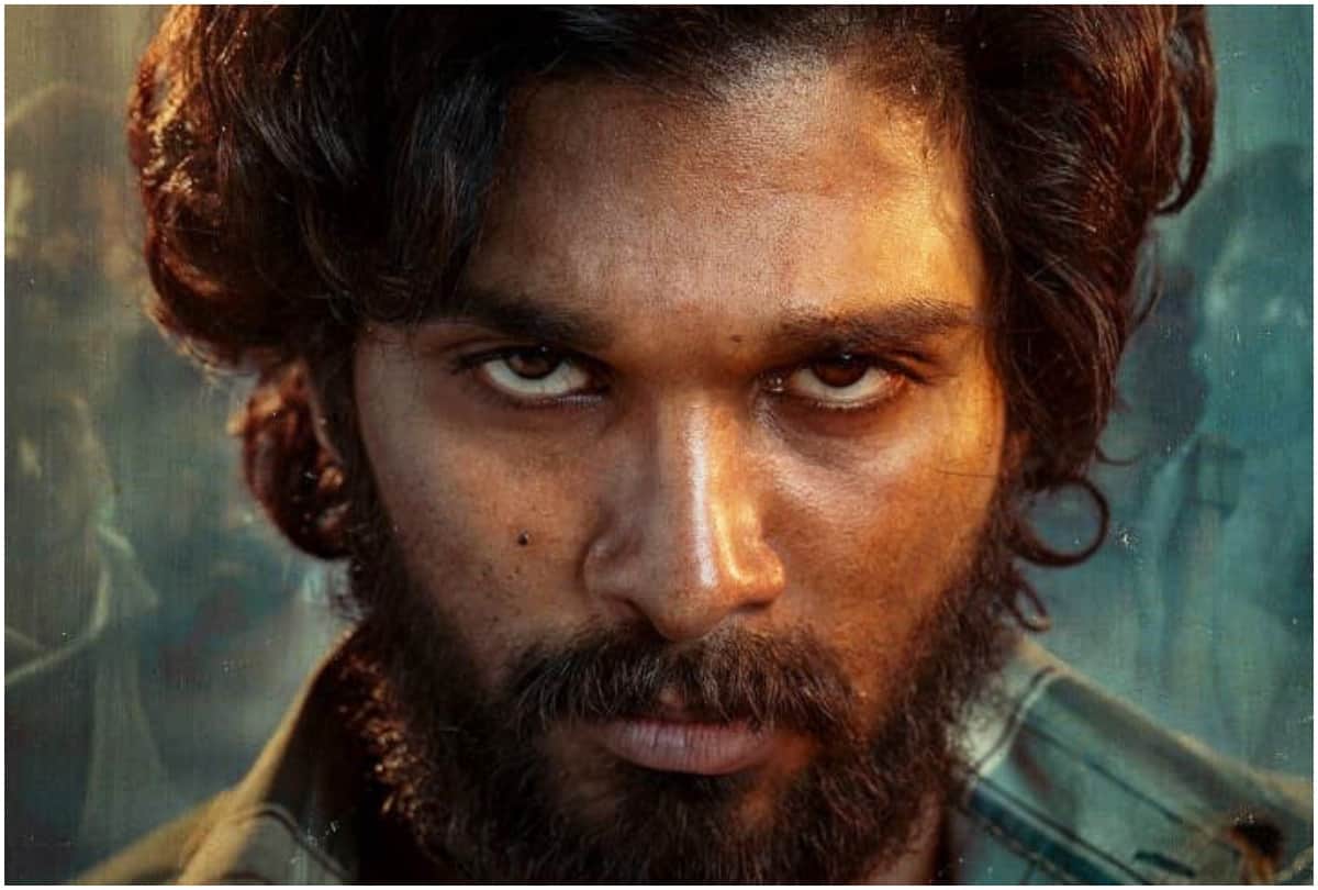 Allu Arjun Upcoming Film Pushpa To Create Under Make In India Action Sequence Shot Worth Rupees 6 Crore