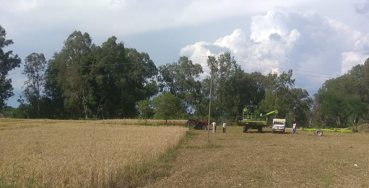 agriculture