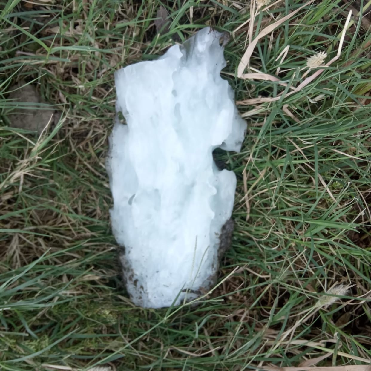Piece of ice became a curiosity