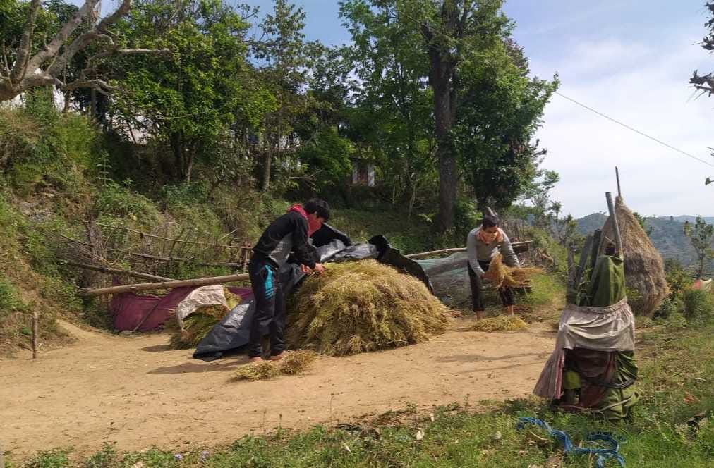Industrial units will be started after sanitizing