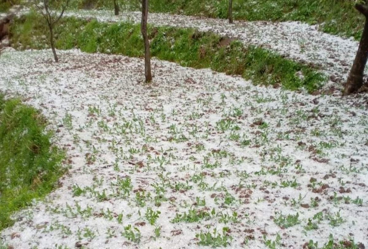 33 crore rupee loss to crops due to rain and hailstorm in himachal pradesh