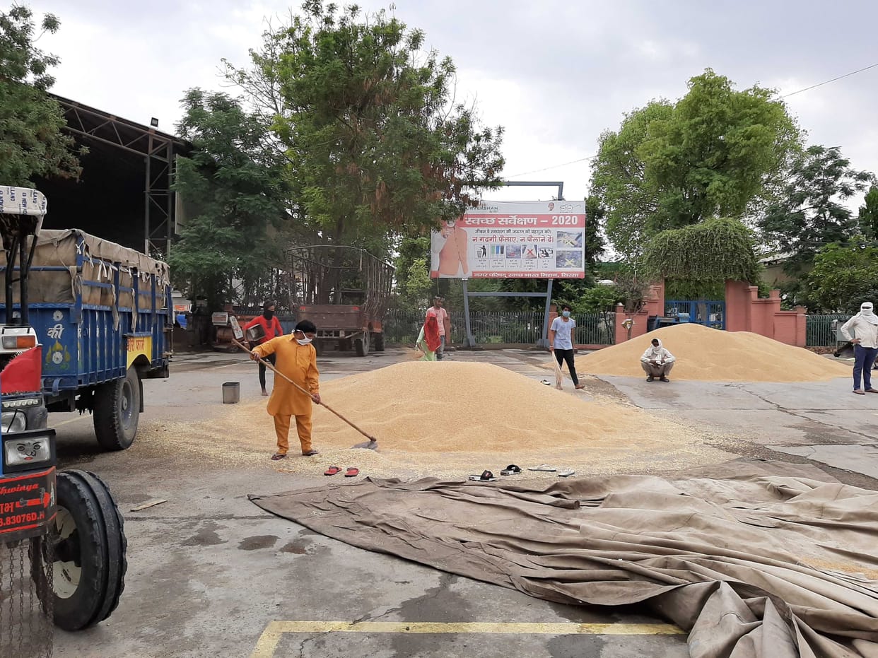 purchase of wheat at 146 centers