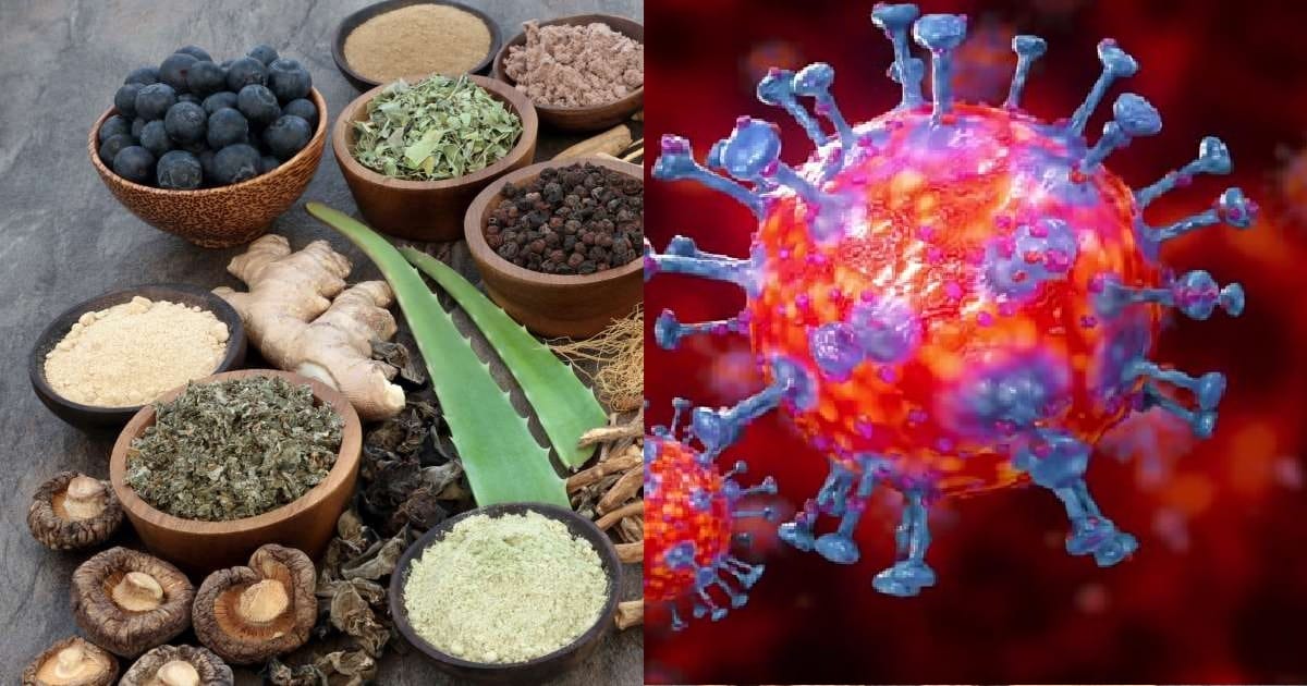world's four most infectious corona variants, know how dangerous these are for india