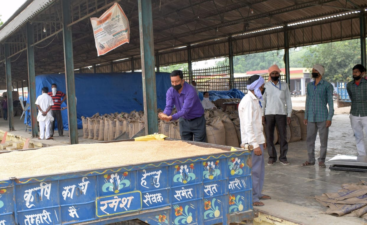 agricalture, hardoi news
