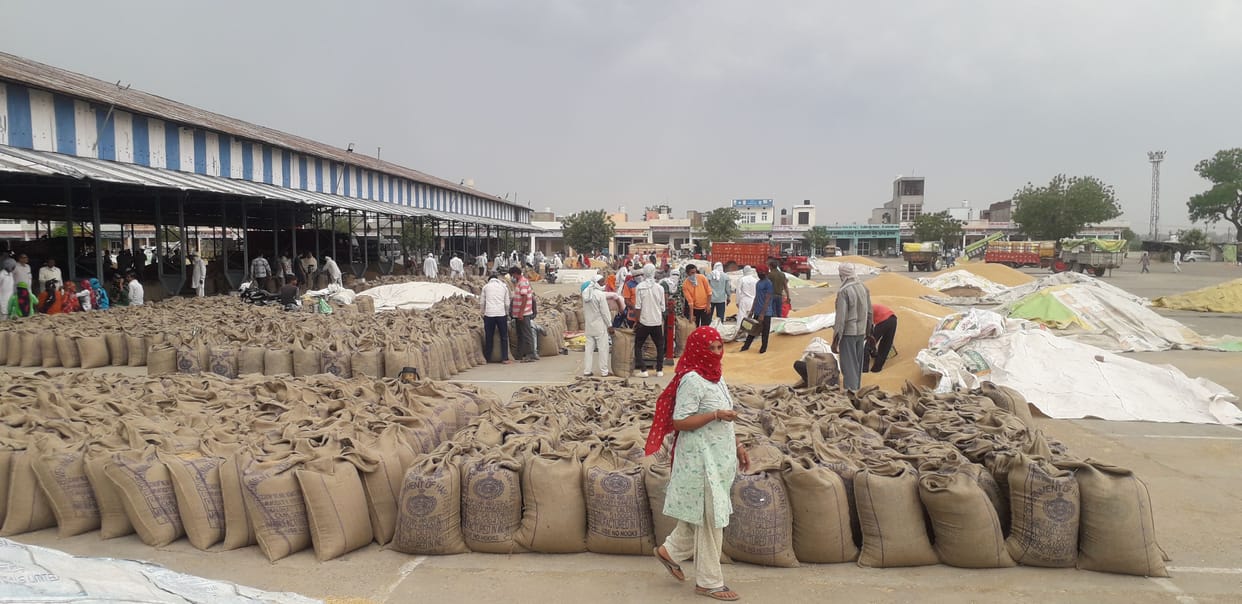 When the strike ended, the farmers reached the market with wheat without calling