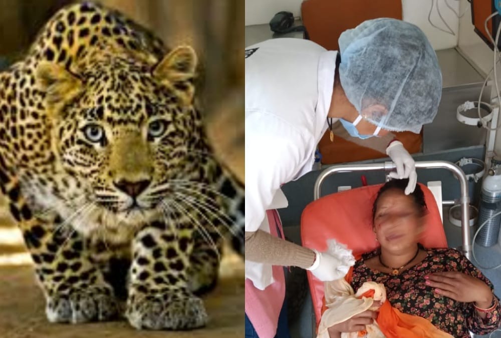 Womens Fight with Leopard after Attack on their friend and Saved her life in pithoragarh