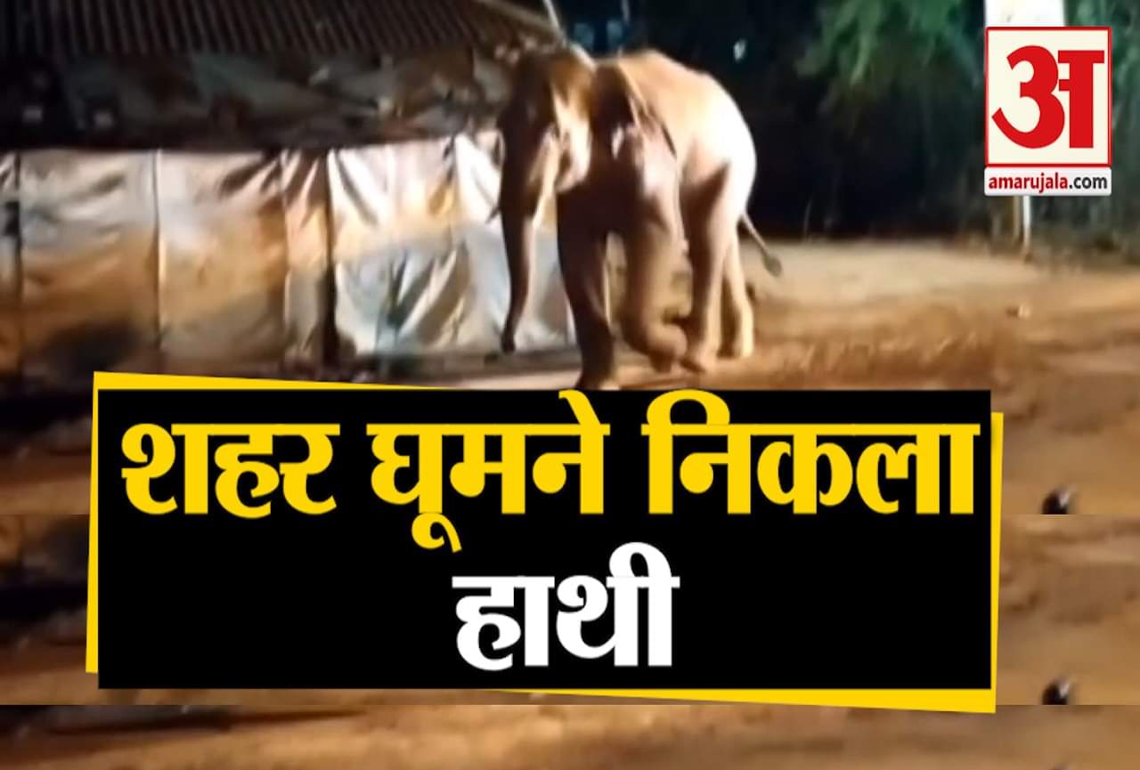 लॉकडाउन