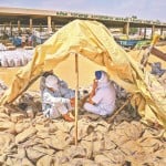 बठिंडा में गेहूं खरीद केंद्र पर बैठे किसान...