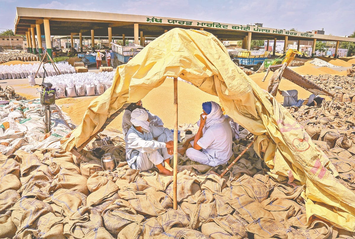 Ground Report Farmers in trouble Delay in procuring wheat will give pain even further