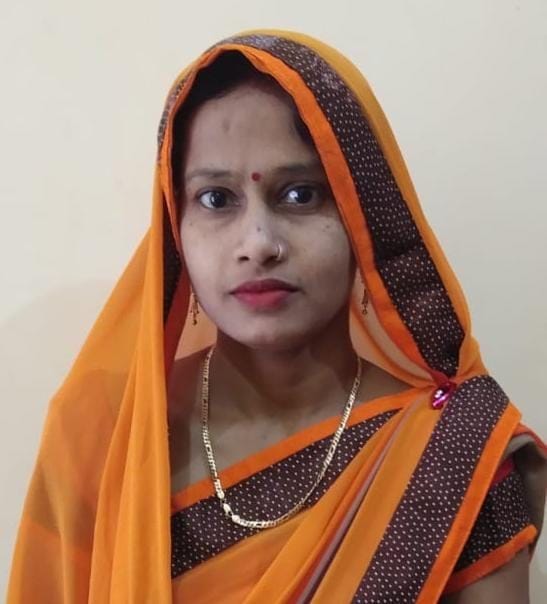 Panchayati Raj Day today: Prime Minister will talk to the princes