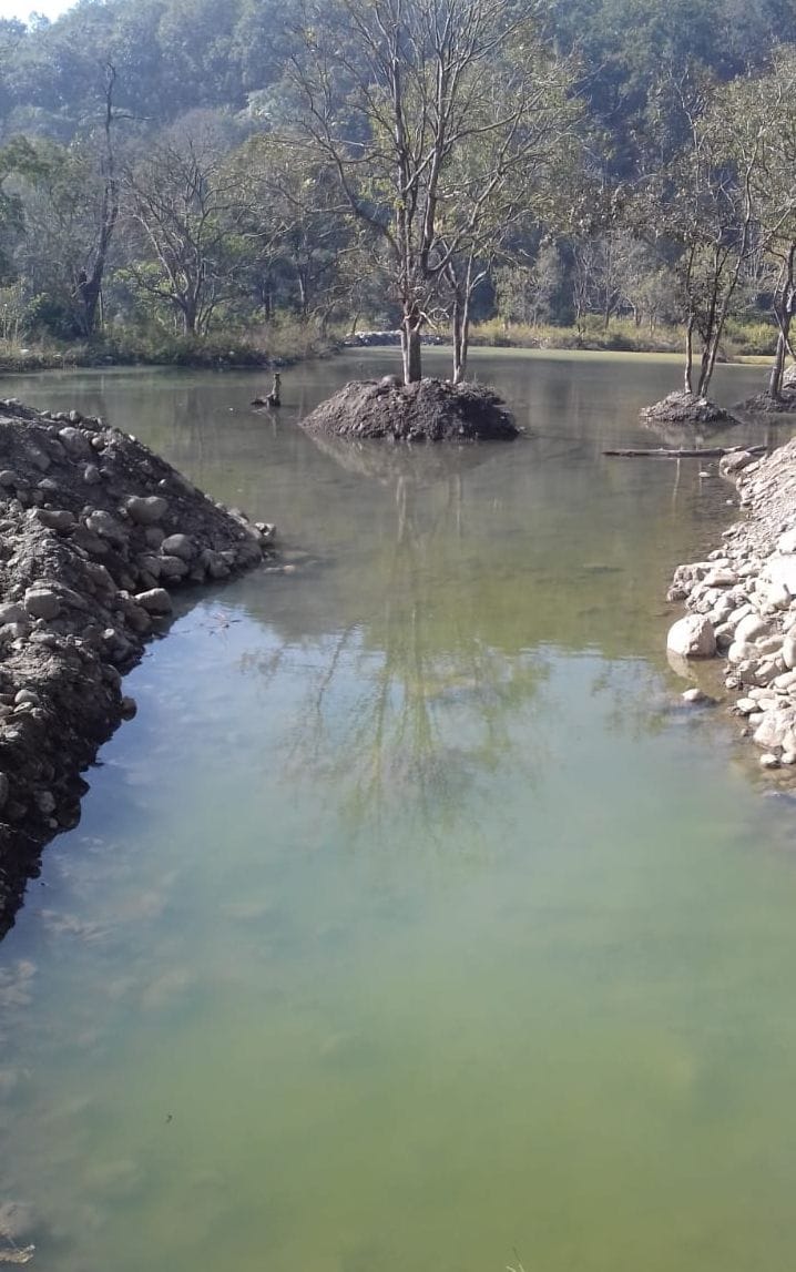 Wildlife will quench their thirst from the three hectare pond