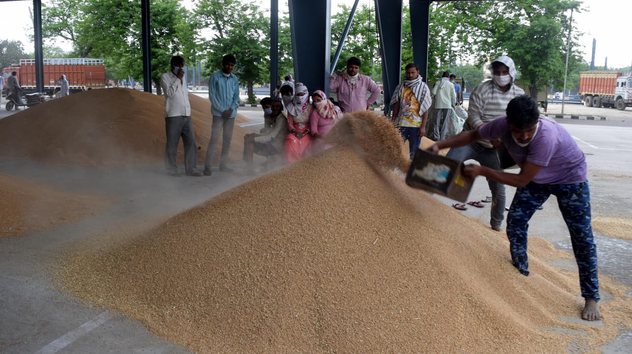 The strike of the factions ended, wheat procurement figure reached 6178 MT