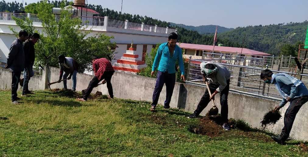 Workers run cleanliness campaign, plant saplings