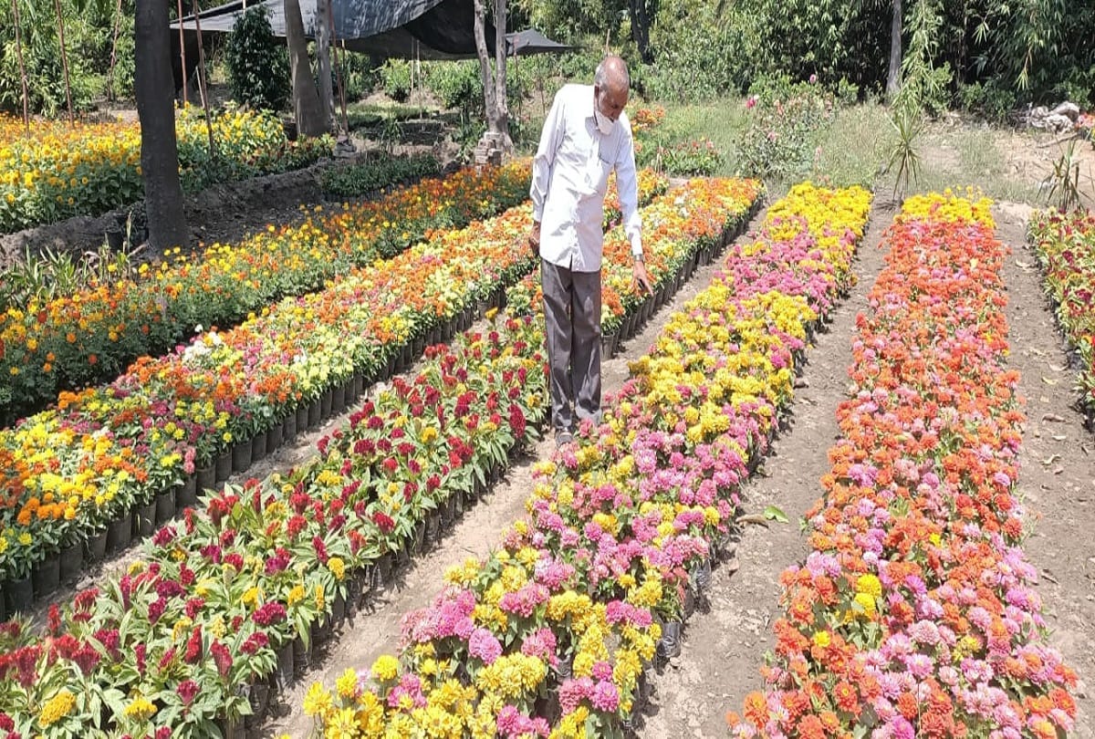 Corona is ruining flower business of gajraula