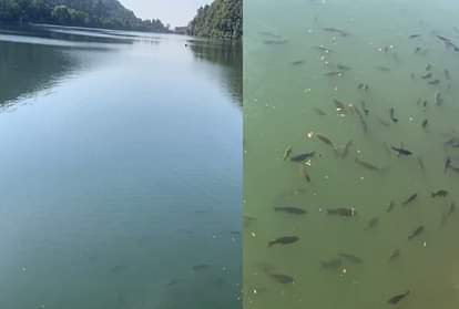 Lockdown Uttarakhand: Naini Lake water Very clean, Fishes see even 20 feet down in water