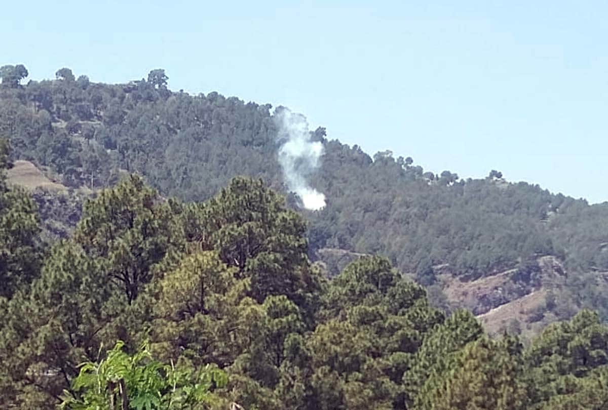Hundreds of goats die due to Celestial lightning in Patha village of Rajouri jammu kashmir