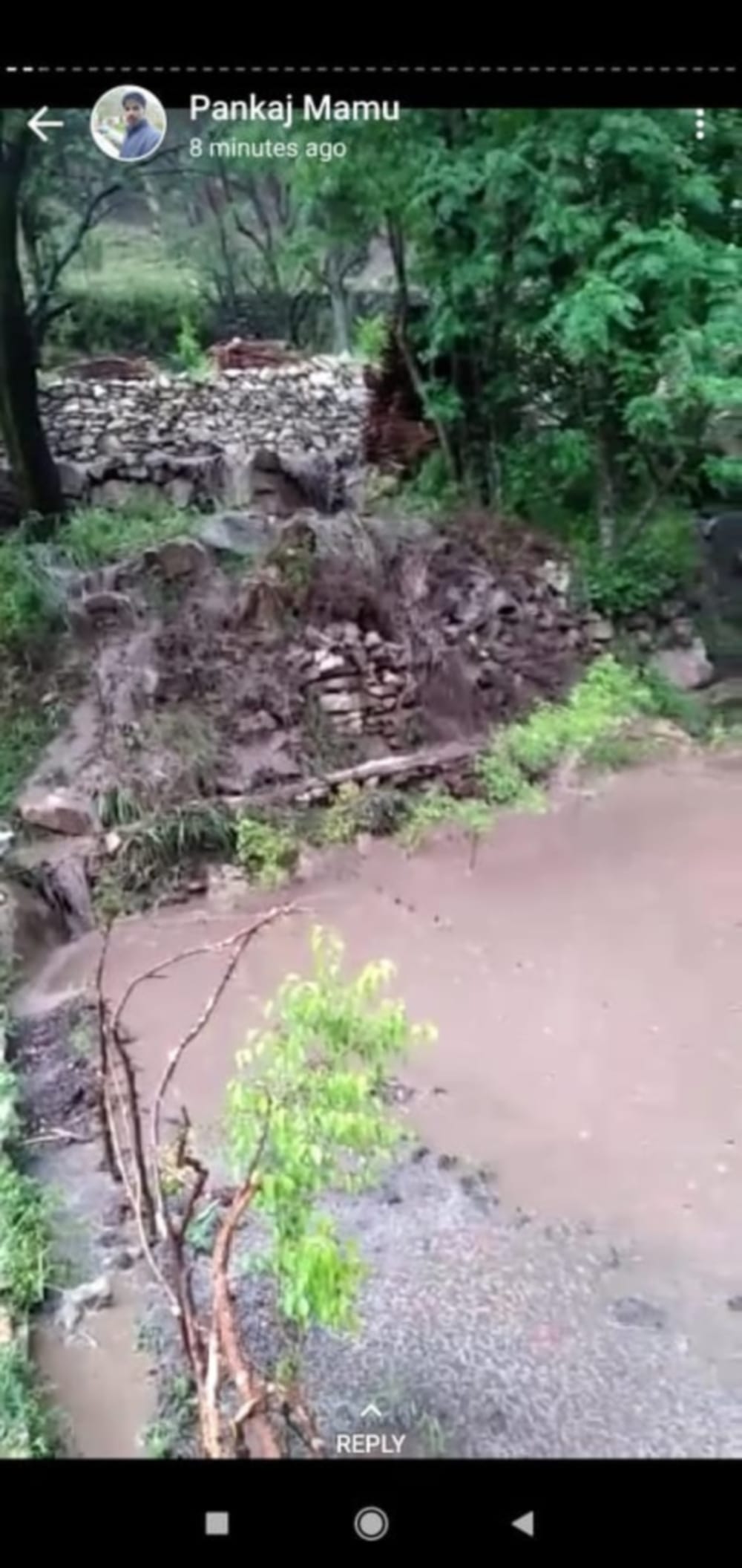 Uttarakhand weather : heavy hailstorm destroyed crop in uttarkashi