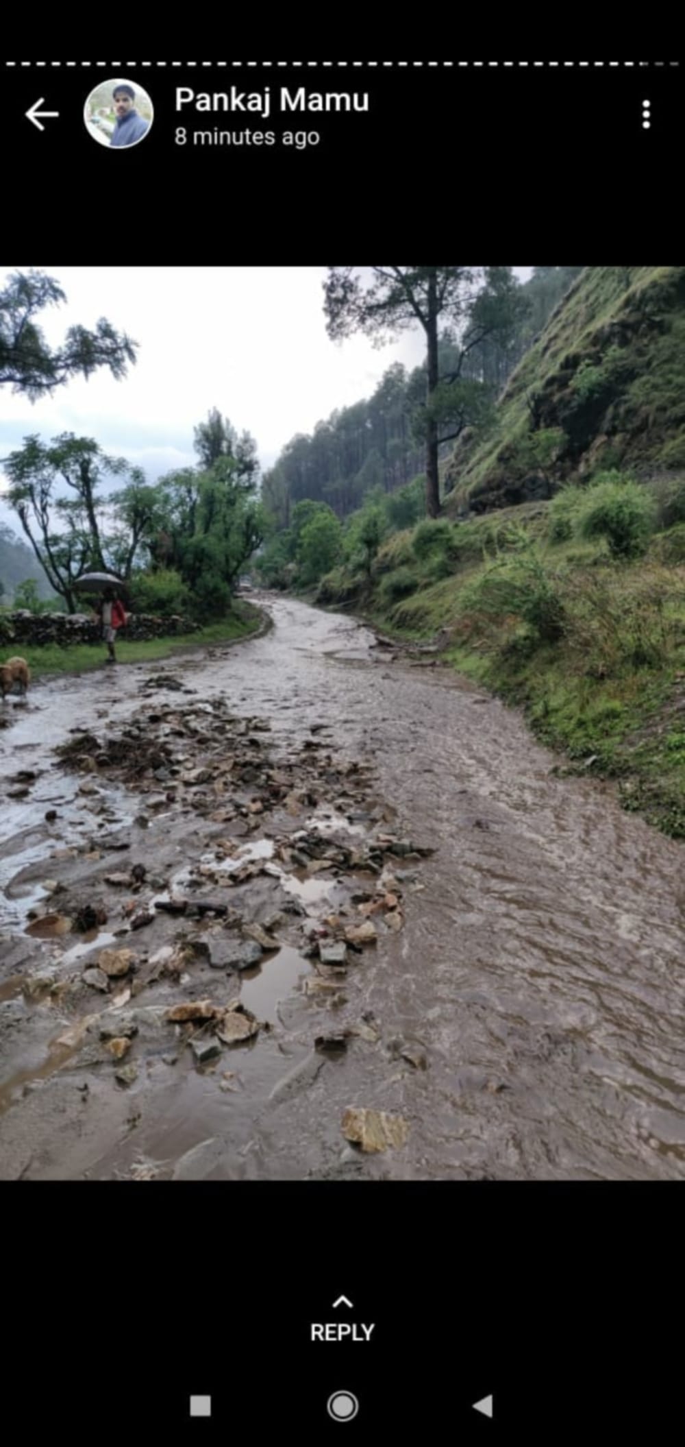 Uttarakhand weather : heavy hailstorm destroyed crop in uttarkashi