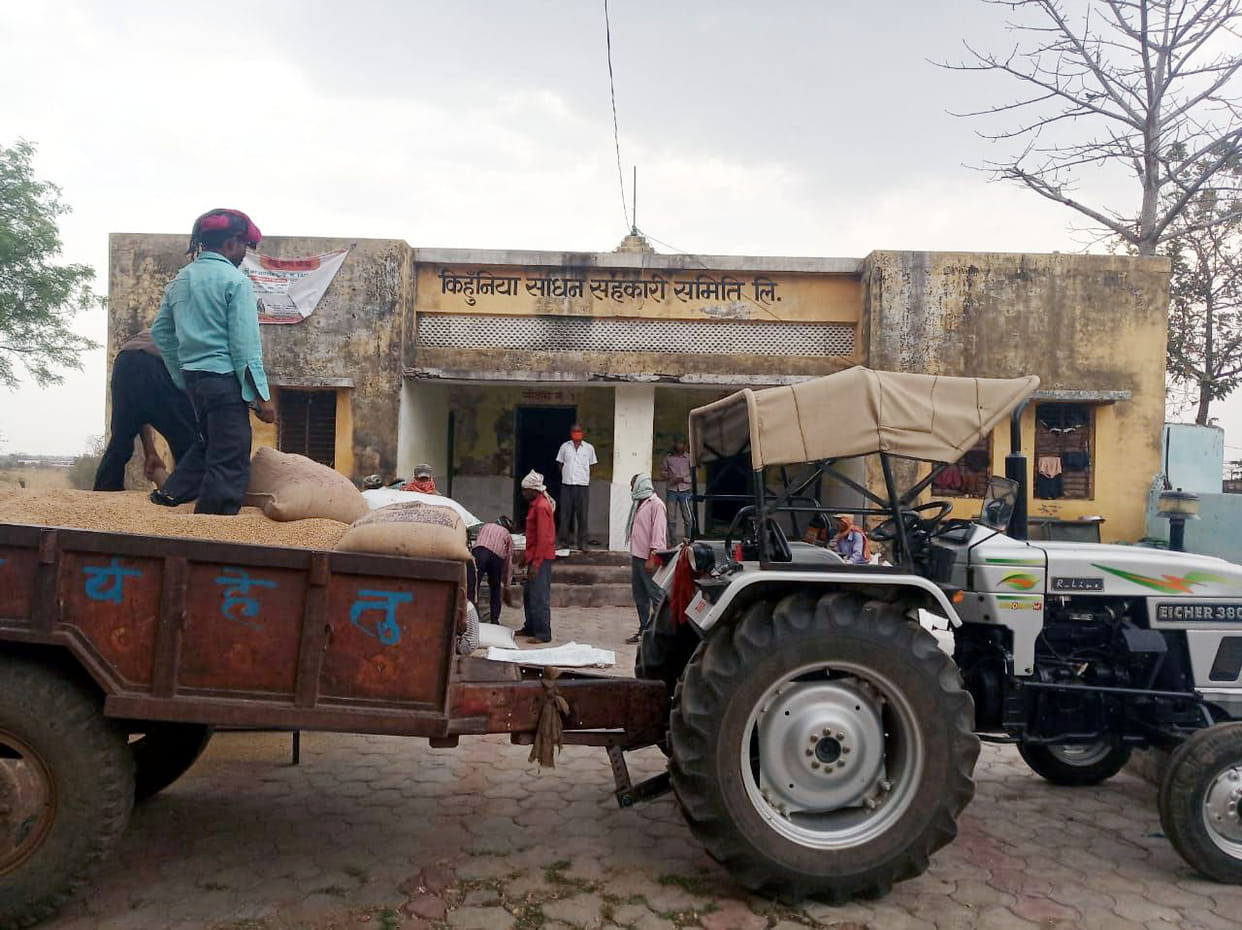 Farmers selling wheat in purchasing centers amid lockdown in Chitrakoot