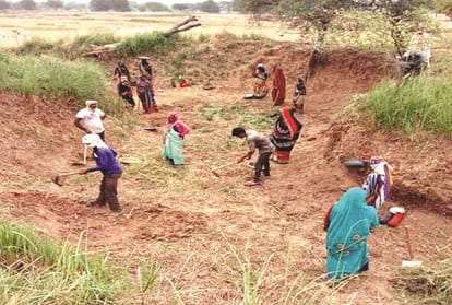 Fear of corona in disease free districts says ground report