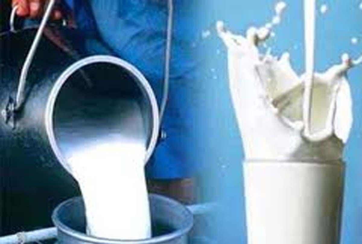 lockdown in kanpur : Kanpurias increased milk consumption by staying at home in lockdown