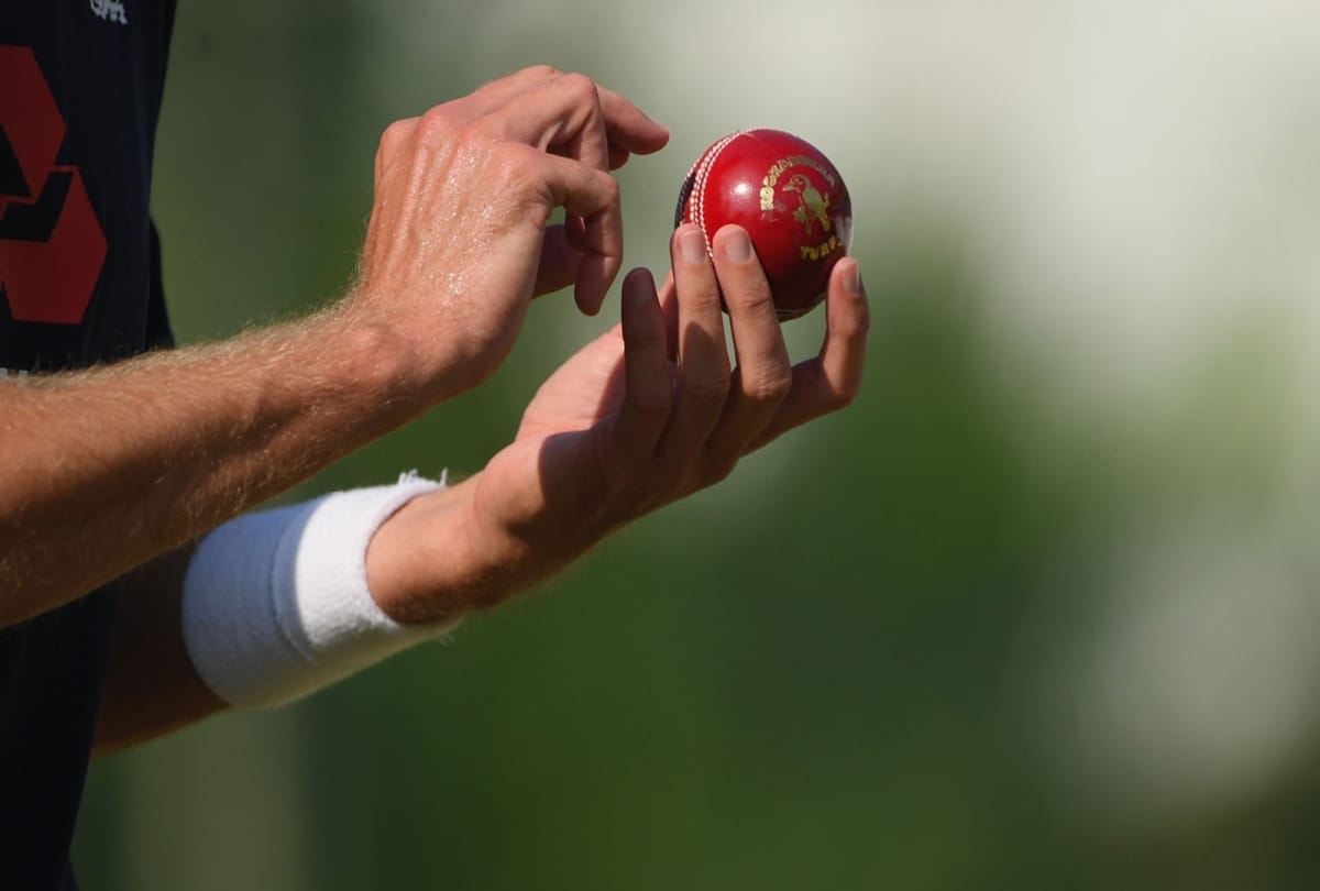 David Warner is in support of saliva on balls after corona virus