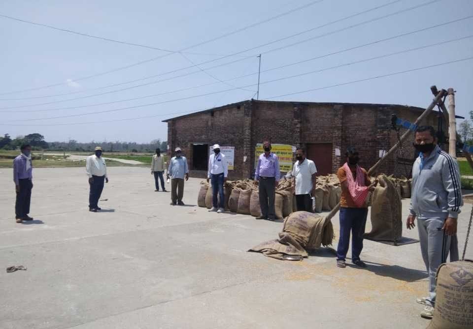 Purchase of 123 quintals of wheat in 19 days