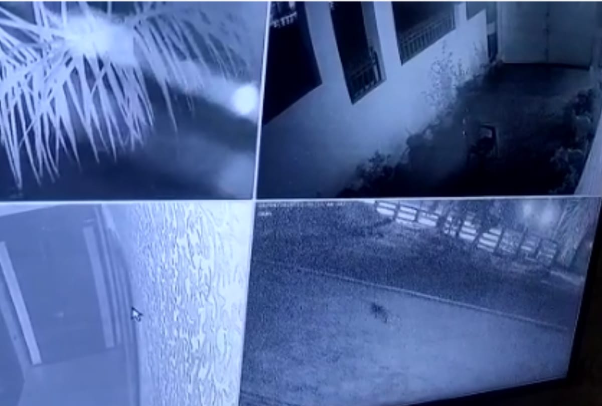 Leopard spotted by CCTV in Gorakhpur
