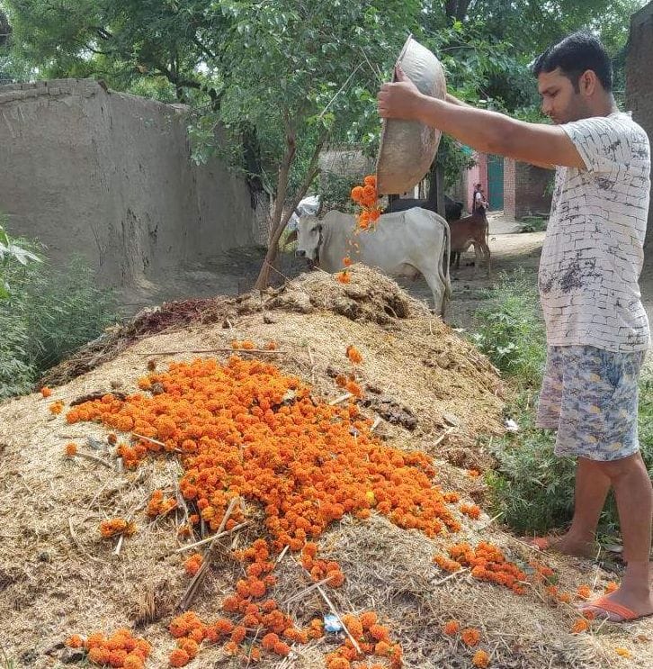 efect on flowers land in sambhal in lockdown
