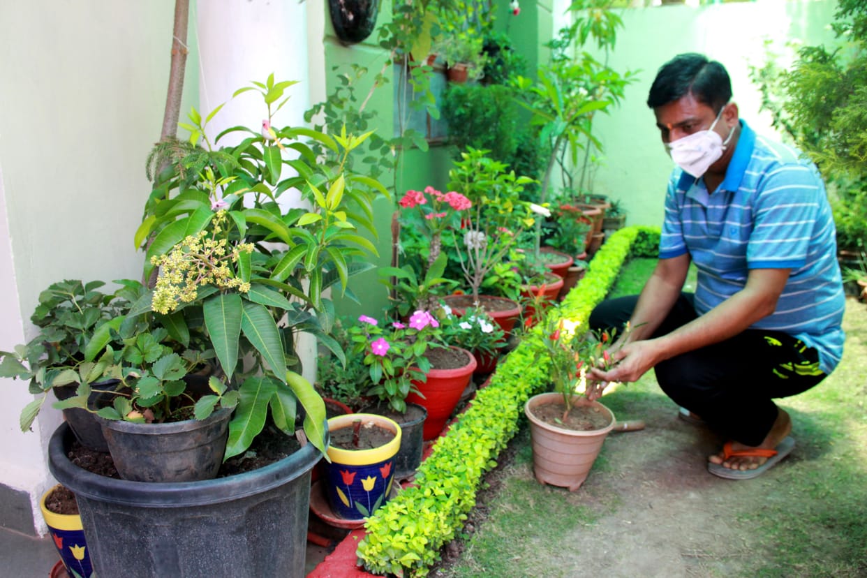 gardening