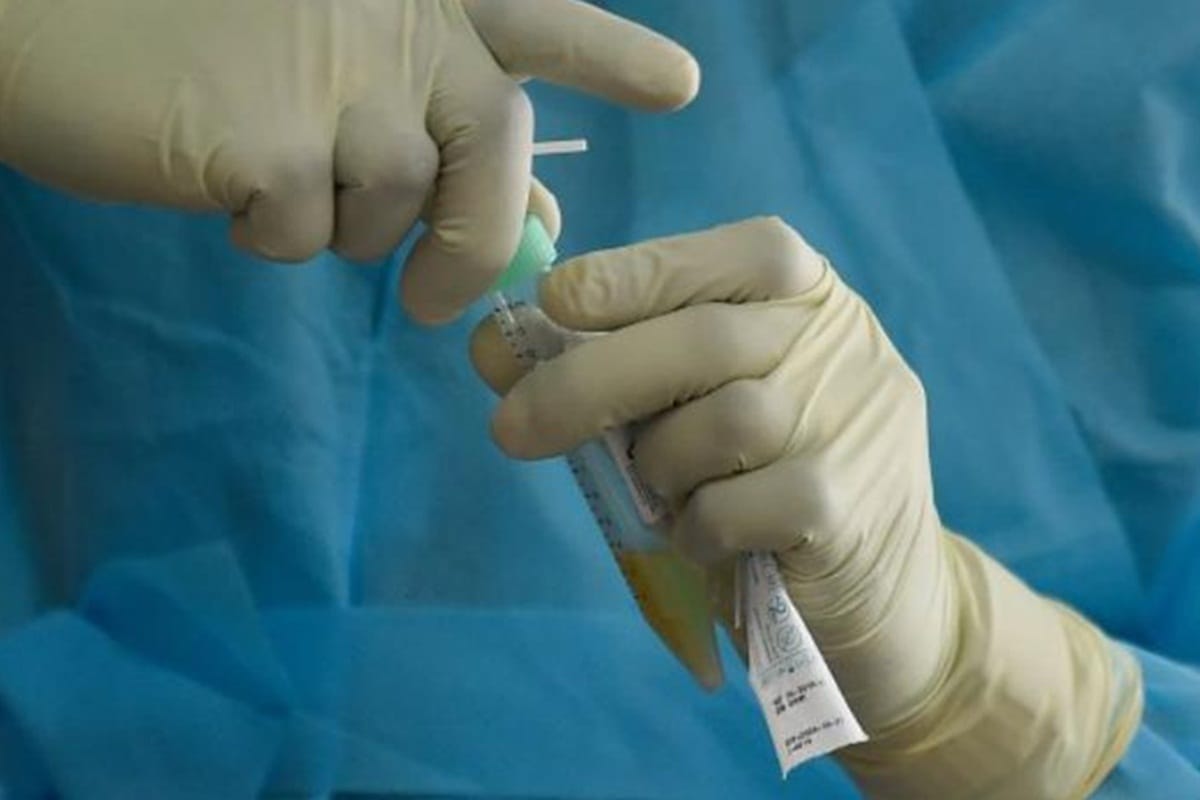 UP: Plasma can be donated 28 days after vaccination, new guideline released
