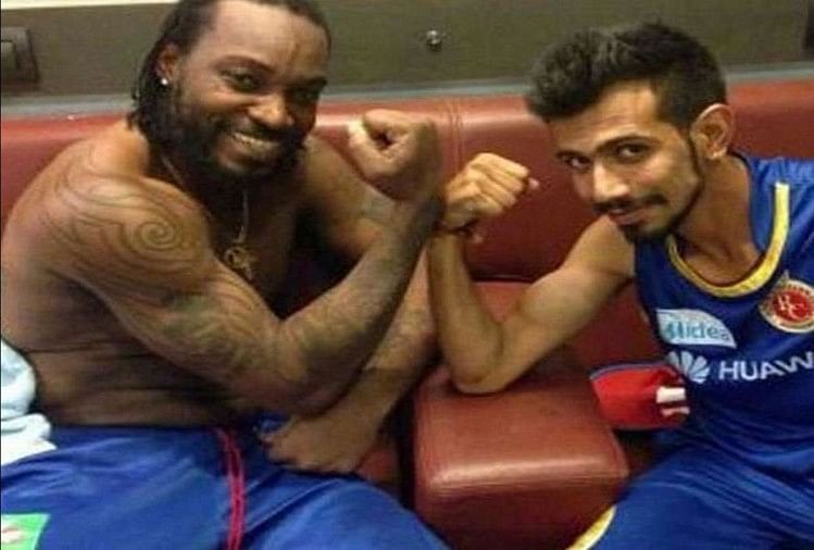 chris gayle arms