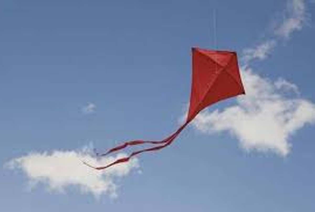 UP Lockdown News in Hindi: action will be taken on flying kites