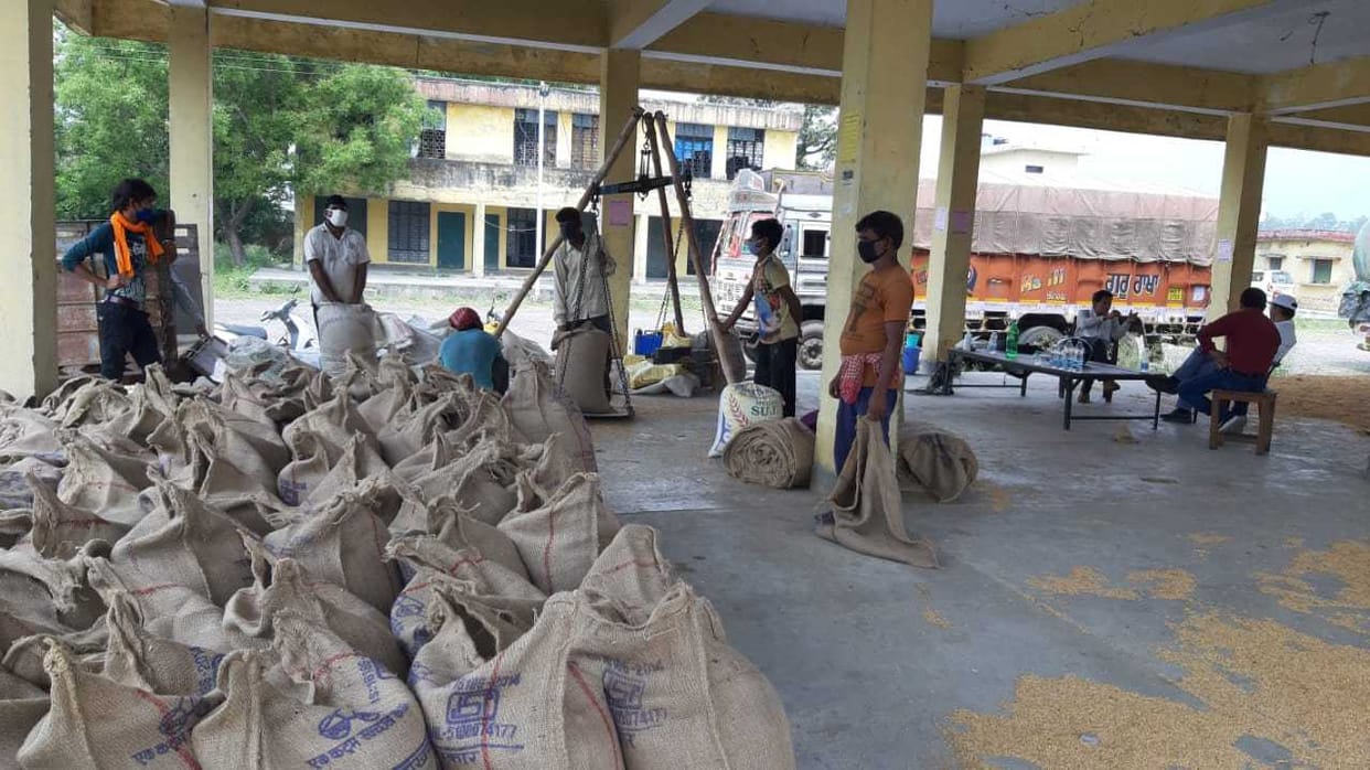 Wheat procurement started in Tanakpur too, 41 quintals of wheat purchased
