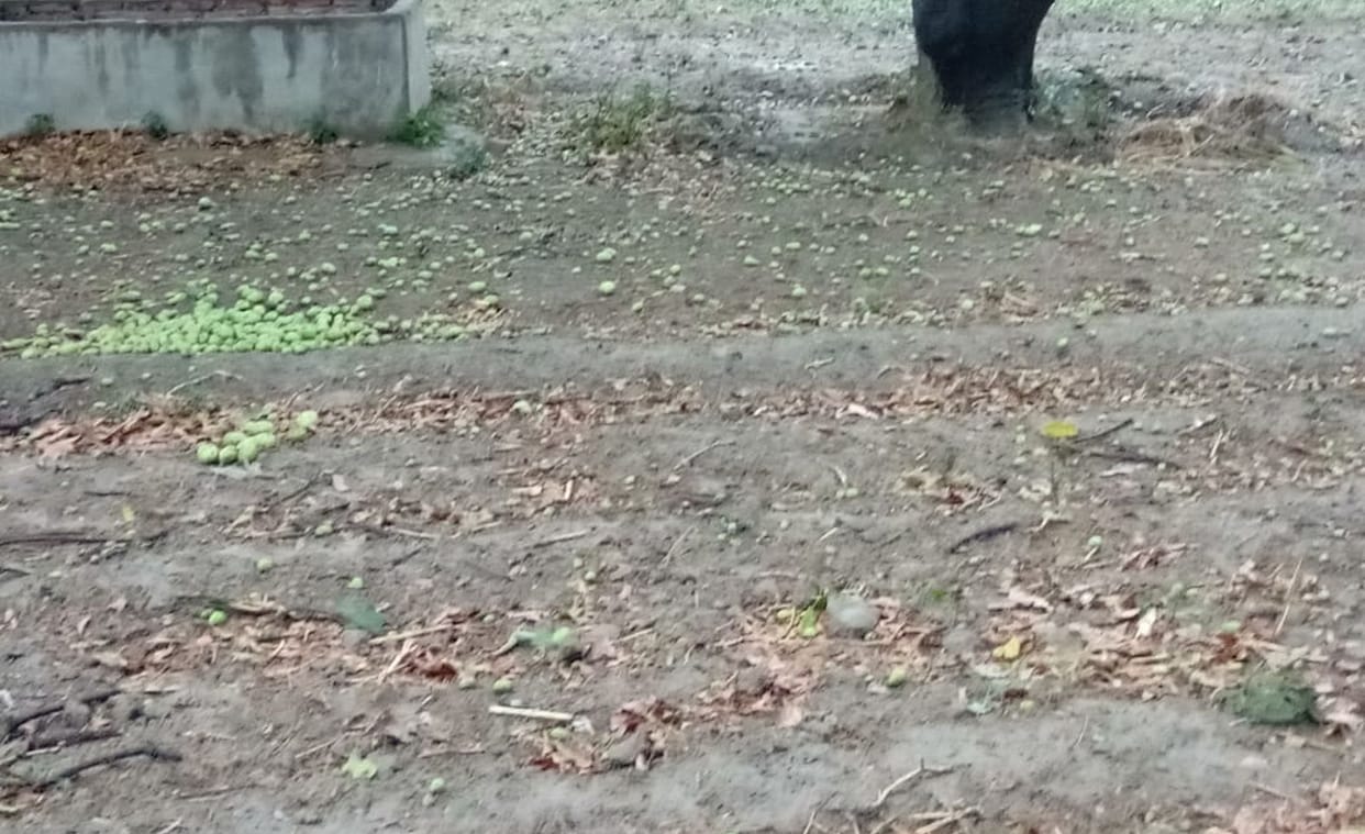 rain