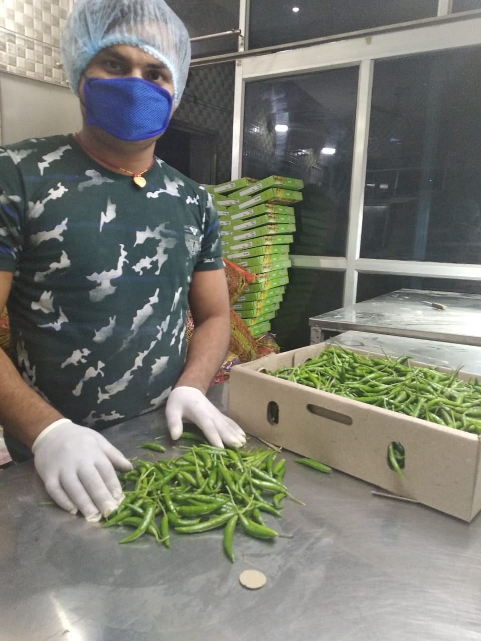 Demand for gourd, cucumber and green chilliesin foreign