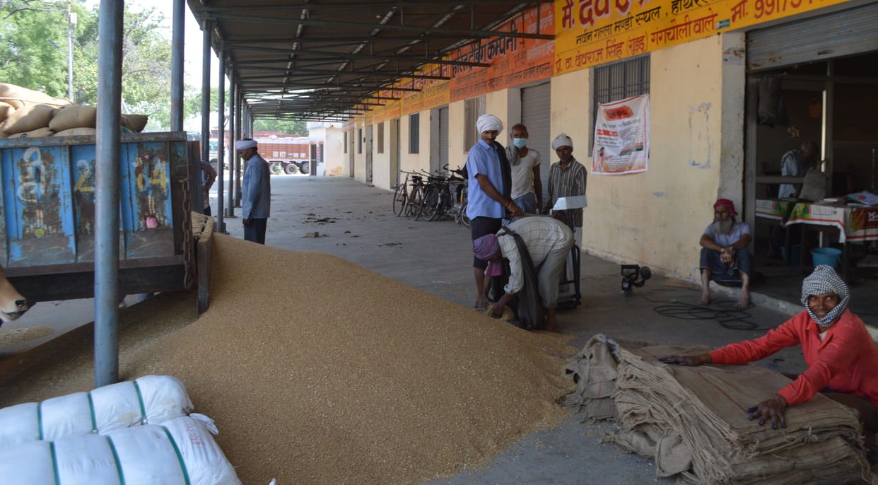 Hathras: Eight hundred farmers paid wheat due to lack of money
