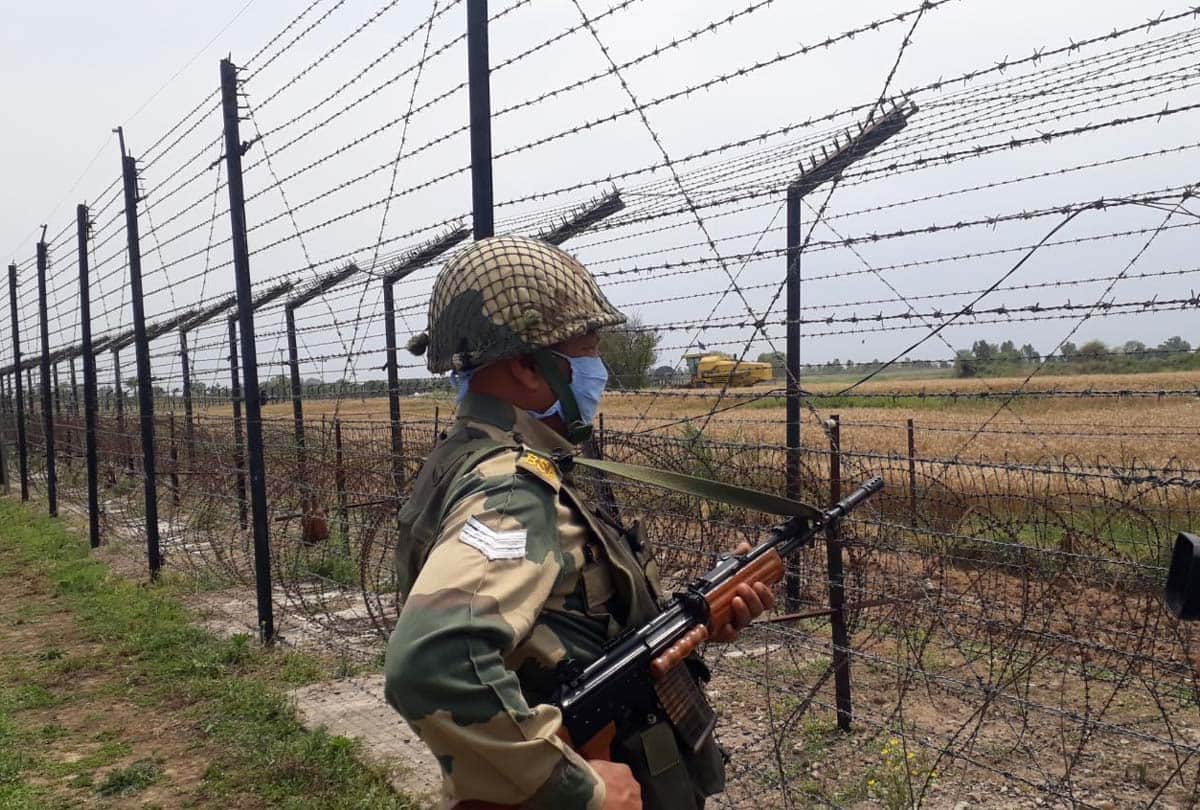 BSF jawans harvest wheat from barren land in rs pora jammu kashmir, latest news jammu kashmir