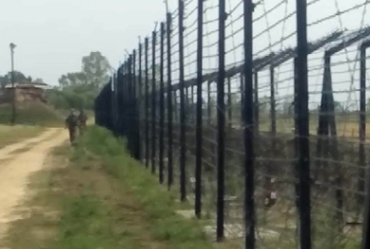 BSF jawans harvest wheat from barren land in rs pora jammu kashmir, latest news jammu kashmir