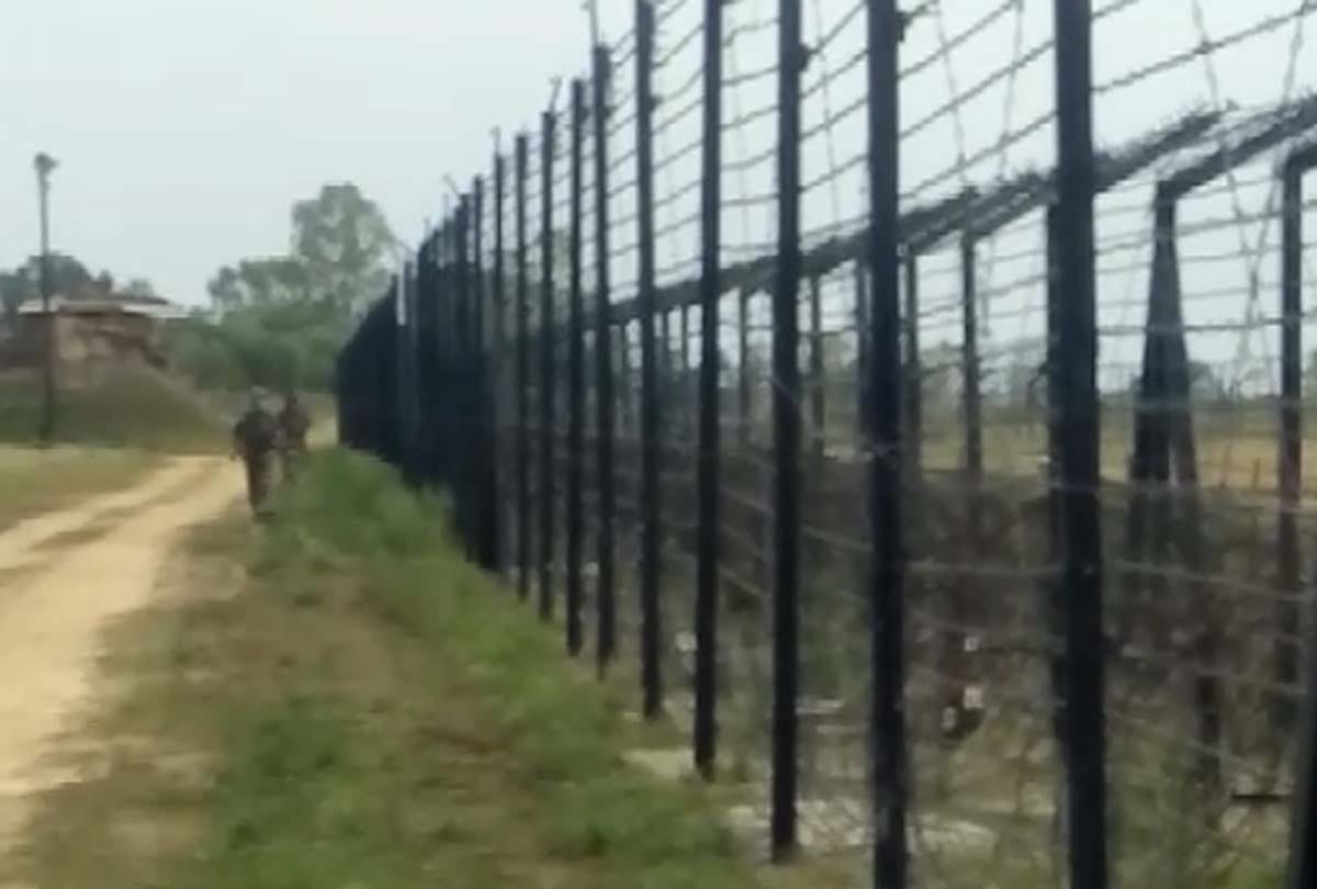 Harvesting of crop after 18 years ahead fencing on international border in Kathua jammu kashmir