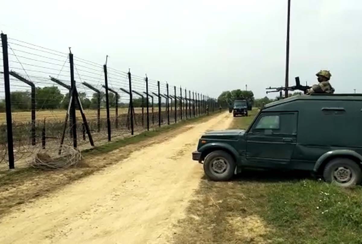 Harvesting of crop after 18 years ahead fencing on international border in Kathua jammu kashmir