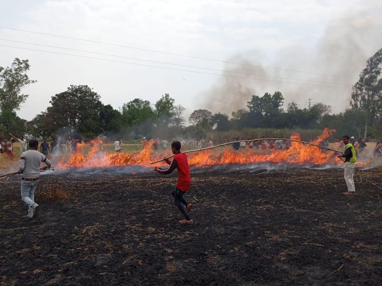 weat crop plaze by fire