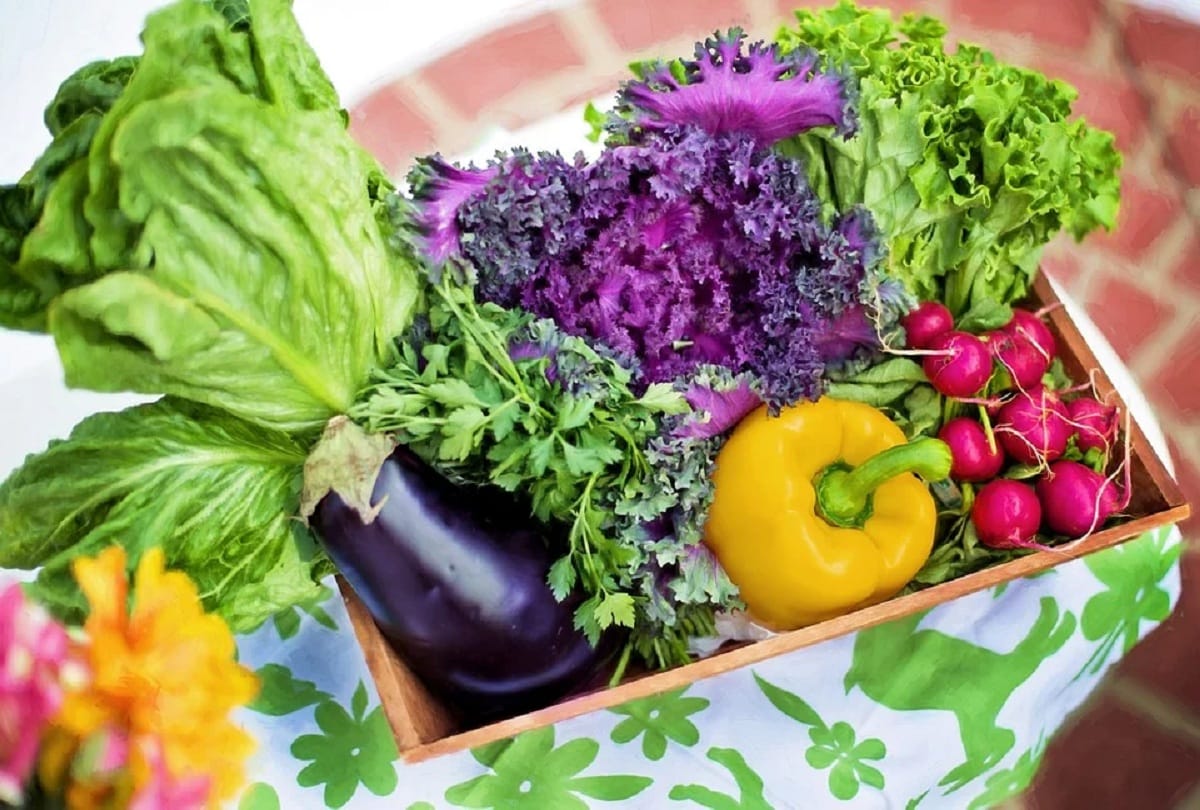 Covid19, Nutritious food is the strongest weapon against coronavirus