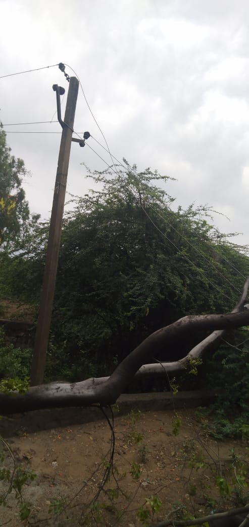 Thunderstorms rain, farmers suffer
