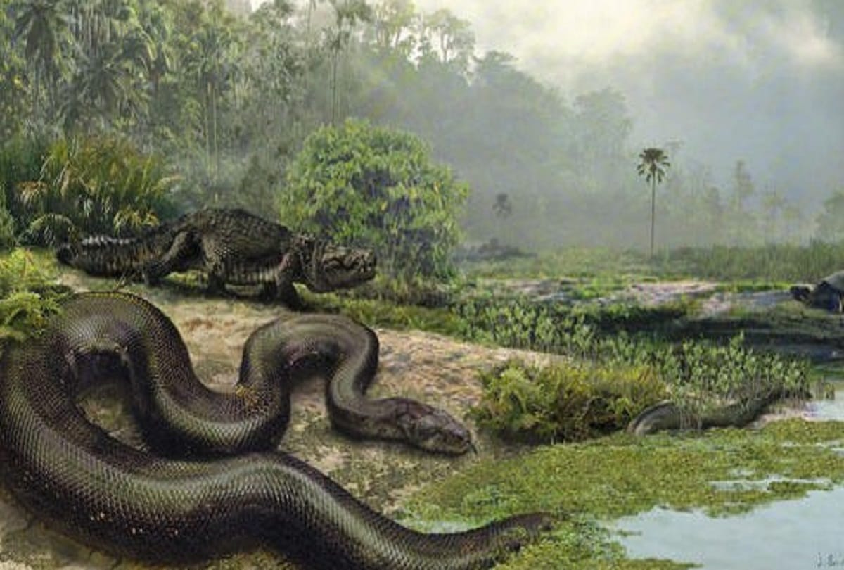 Prehistoric Snake Amazing and Interesting Facts about Titanoboa Snake
