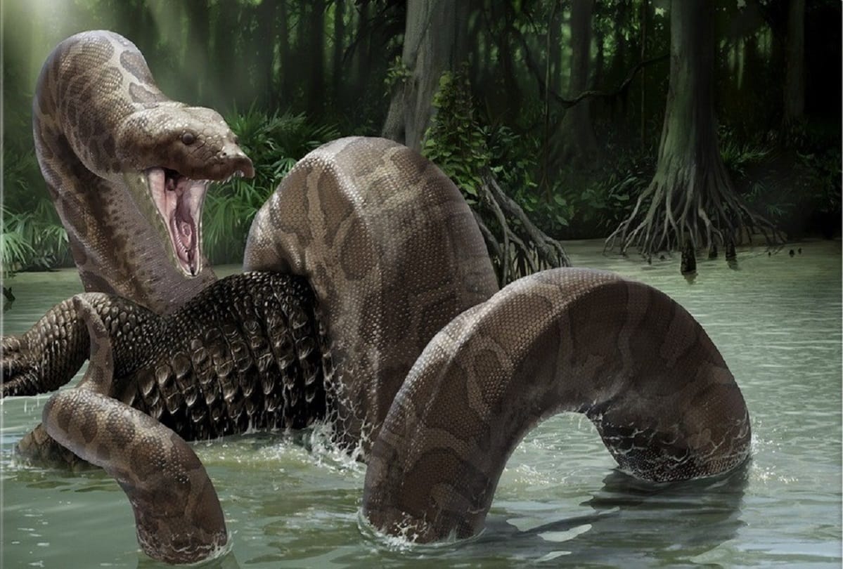 Prehistoric Snake Amazing and Interesting Facts about Titanoboa Snake